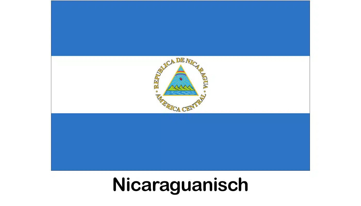 nicasguia-flagge