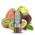 Elfbar Mate 500 Kiwi Passionfruit Guava Pods