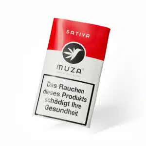 Muza Sativa Tabakersatz