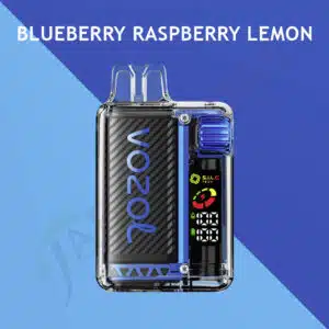 Vozol-Vista-15000-Zuege-Blueberry-Raspberry-Lemon