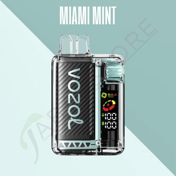 Vozol-Vista-15000-Zuege-mit-der-Sorte-Miami-Mint-20mg