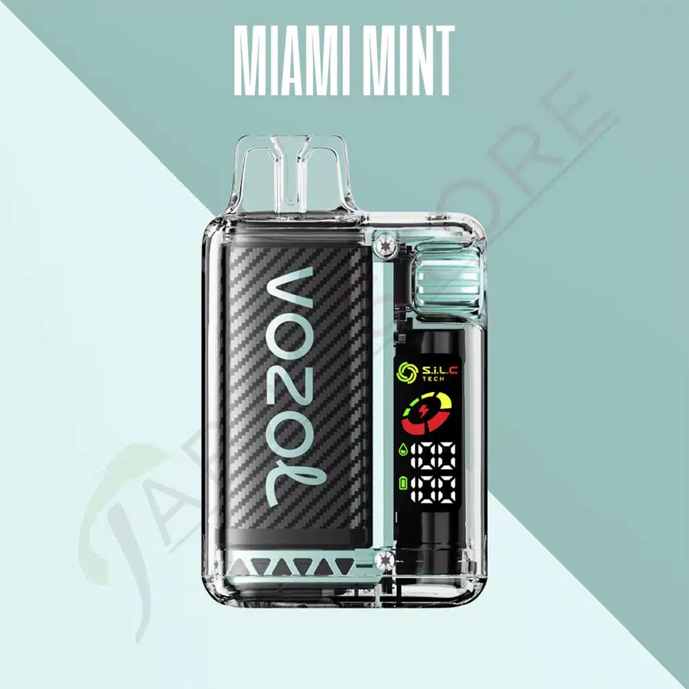 Vozol-Vista-15000-Zuege-mit-der-Sorte-Miami-Mint-20mg